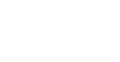 شرکت داده گستر عصر نوین (هلدینگ)