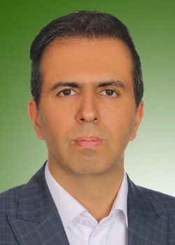محمدرضا مشایخی کارشناس رسمی دادگستری رشته راه و ساختمان
